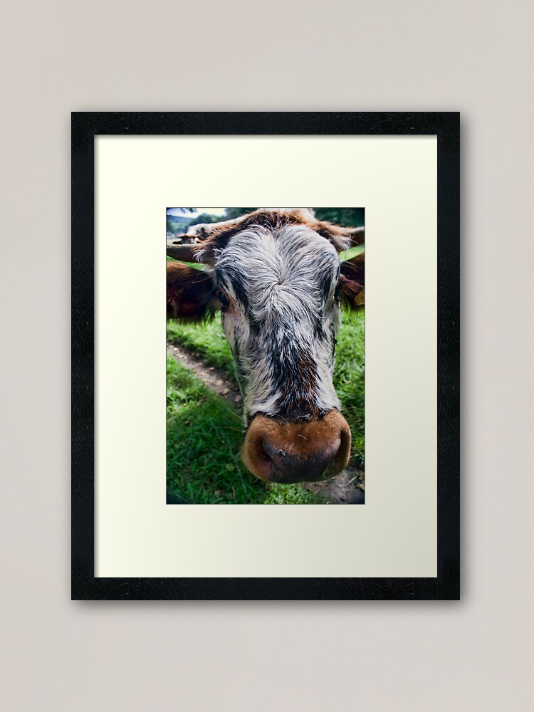 Alternate view of Nosey Cow Framed Art Print