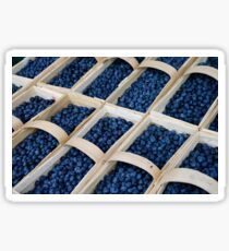 Blueberries in baskets Sticker