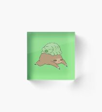Bloque acrílico Perezoso y Little Waterbear