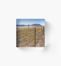 Yellow fields. Acrylic Block
