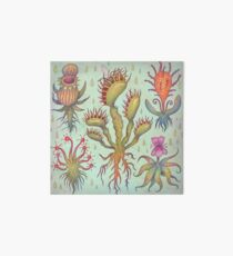 Carnivorous plants Art Board Print