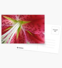 Lilly Postcards