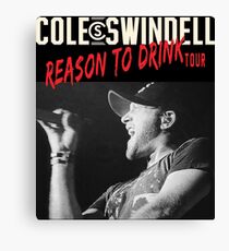 erno Swindell Reason Cole to Drink Tour 2018 Canvas Print