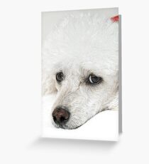 I've had enough! Greeting Card