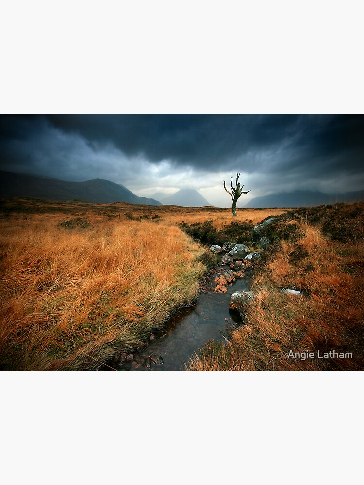 Scotland : Rannoch Moor by AngelaBarnett