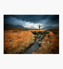 Scotland : Rannoch Moor Photographic Print