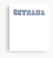 Cethana Metal Print