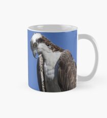 Osprey Pandion haliaetus Mug