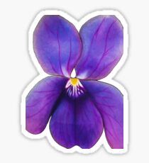 Pegatina Dulce violeta