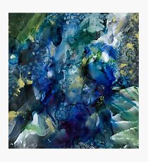 Serenity Photographic Print