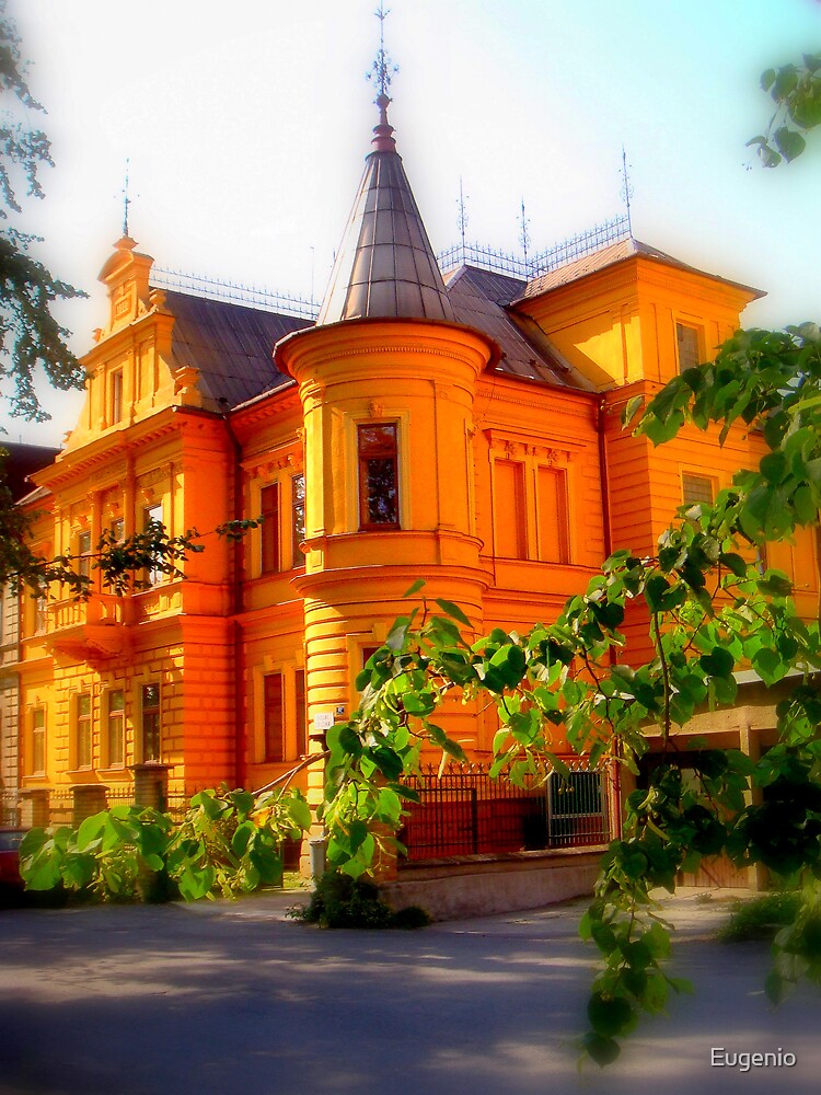 "Orange house" by Eugenio Redbubble