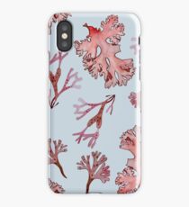 Nova Scotia Shoreline iPhone Case