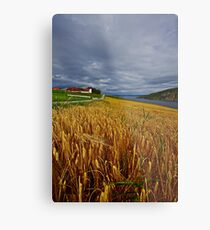 Views: 10015.The DeeZ 5Cs Award Banner. Verrasundet Sor-Trondelag . Norway. Brown Sugar Story . This image Has Been S O L D . Brilliant work Metal Print