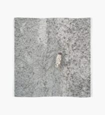 Test Scarf