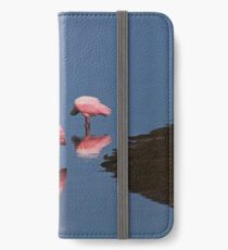 Just Give Me a Reason iPhone Wallet/Case/Skin