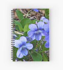 Early Blue Violets II Spiralblock