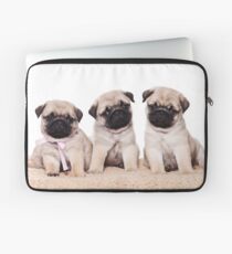 Three pug puppy Laptop Sleeve
