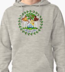 Coat of arms of Belize Pullover Hoodie