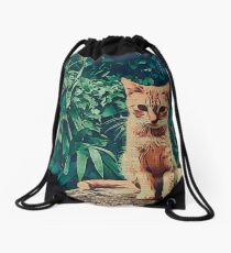 Tabby cat Drawstring Bag