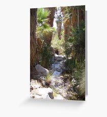 Oasis Greeting Card