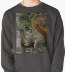 Digging Pullover