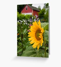 Garden Party Greeting Card