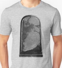 Mesha Stele Unisex T-Shirt