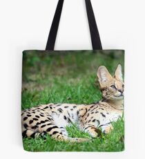 Tranquil Moments Tote Bag