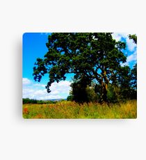 Super Saturated Tree Canvas Print