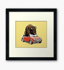 Bison in a Mini 2015 Framed Print