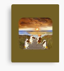 Cat quartet at the beach Canvas Print