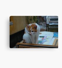 Philosophy, Straight on, in the bath tub Canvas Print