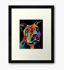 Staffordshire Bull Terrier Framed Print