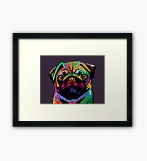 Pug Dog Framed Print