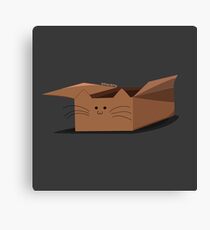 Catbox Canvas Print