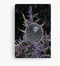 Spike ball Canvas Print