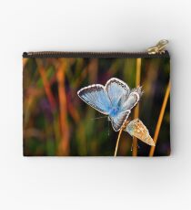 Common blue butterfly Studio Pouch