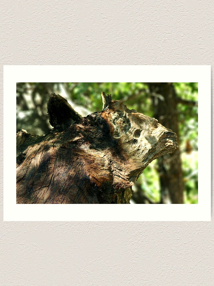 Alternate view of Nature's Art - Idyllwild Art Print