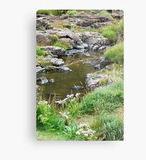 Rockpool Metal Print