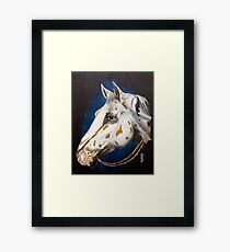 Precious Appaloosa Framed Print