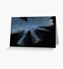 Celestial Starlight In The Forest Near Lake Irene Colorado Greeting Card