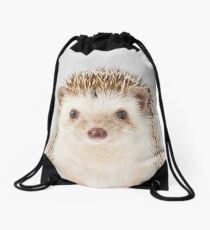 Hedgehog - Colorful Drawstring Bag