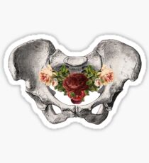 ♡ pelvic floor ♡ Sticker