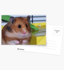 The Hamster Postcards