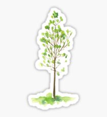 Watercolor young tree with green leaves Sticker