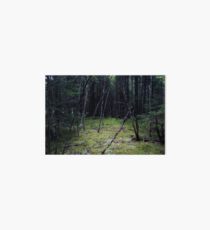 Woodland Dreams Art Board