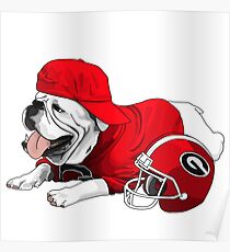 UGA Bulldog with Cap Poster