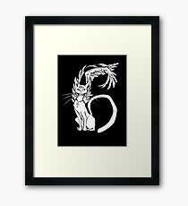 Cat of Numbers Framed Print