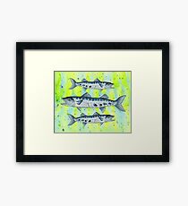 Original Watercolor Illustration of an Barracuda Fish Framed Print