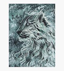 Snow Leopard / Wild Cat - Dark Design Photographic Print
